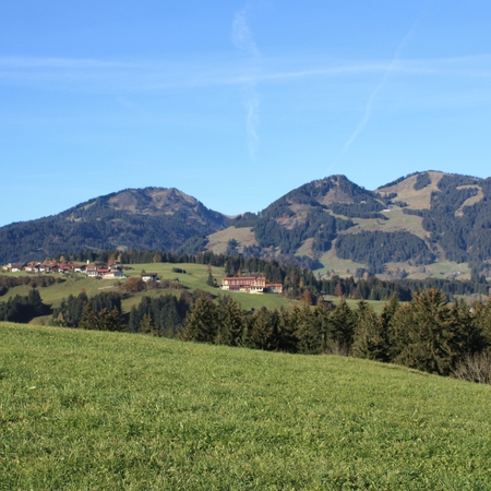 Hundetreffen 2011 im Allgäu (1)